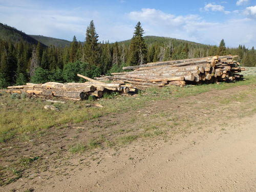 GDMBR: Timber operations.